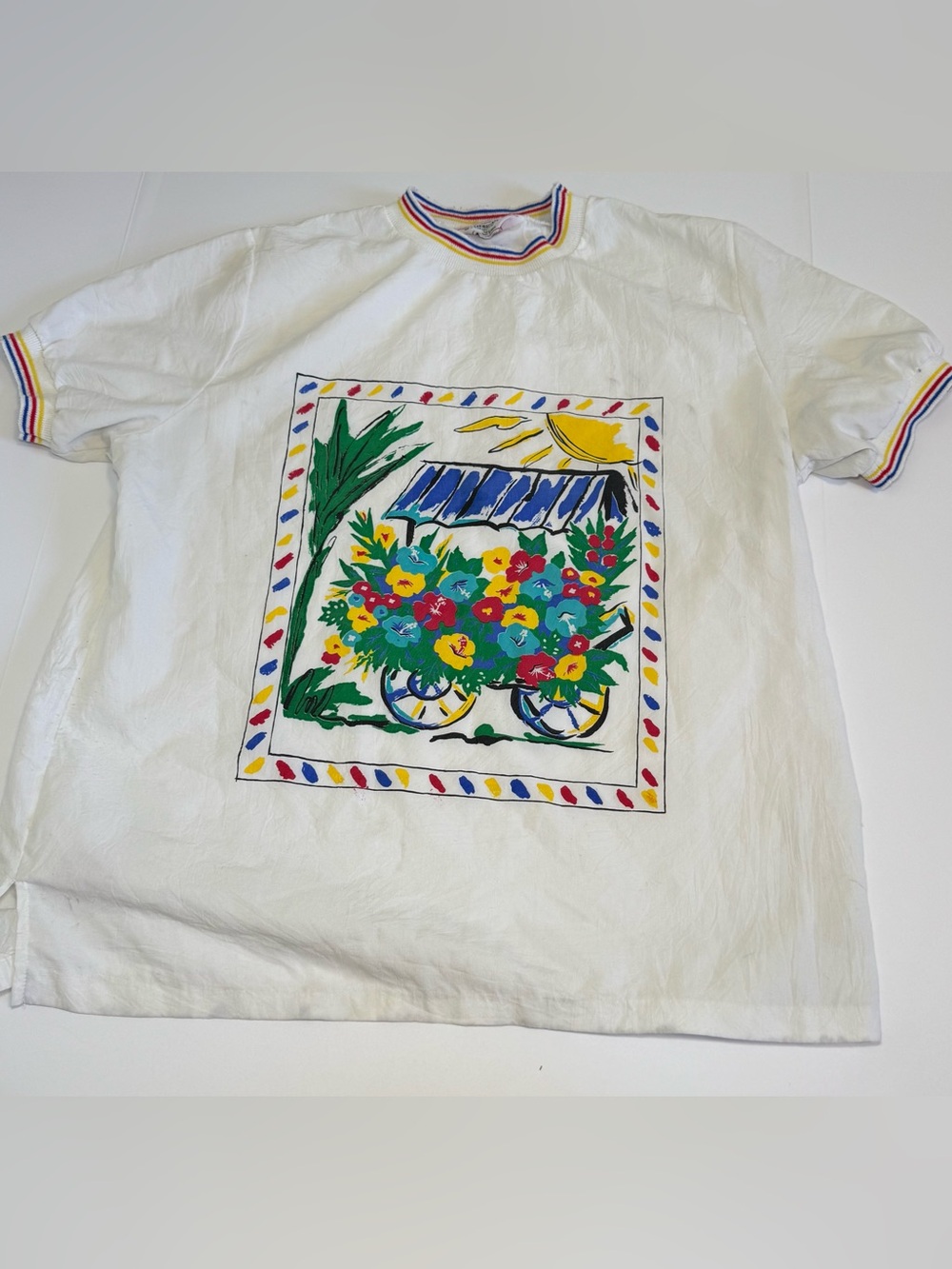 Vintage 90s Cricket Lane Graphic T-Shirt Rainbow Trim Cottagecore White